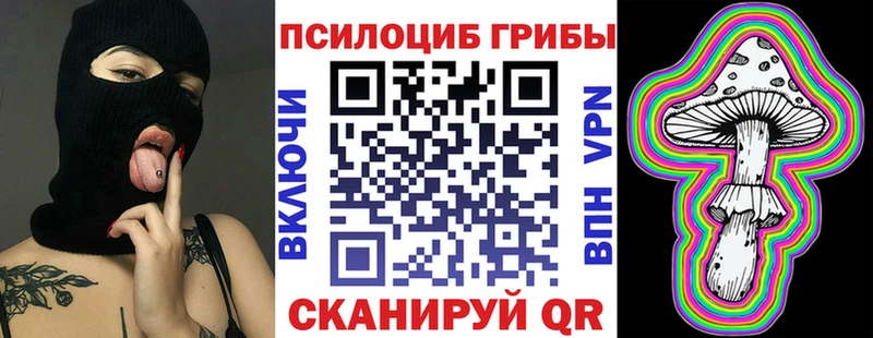 shop телеграм  Зеленоградск  Галлюциногенные грибы Psilocybe  kraken вход 