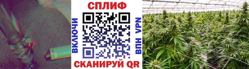Бошки Шишки индика  Зеленоградск 